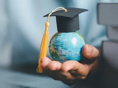 international business management